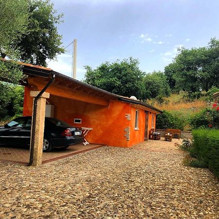 Sorgono B&B Casa Vacanza Centro Sardegna מראה חיצוני תמונה