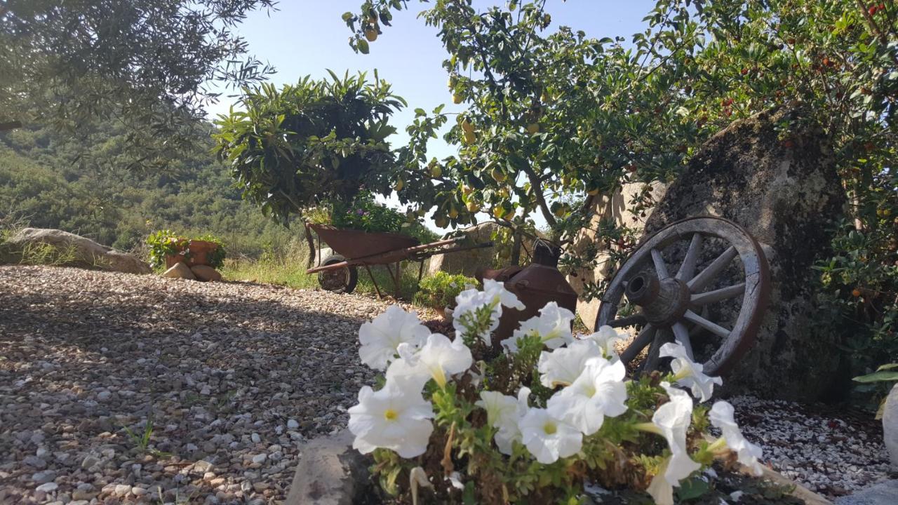 Sorgono B&B Casa Vacanza Centro Sardegna מראה חיצוני תמונה