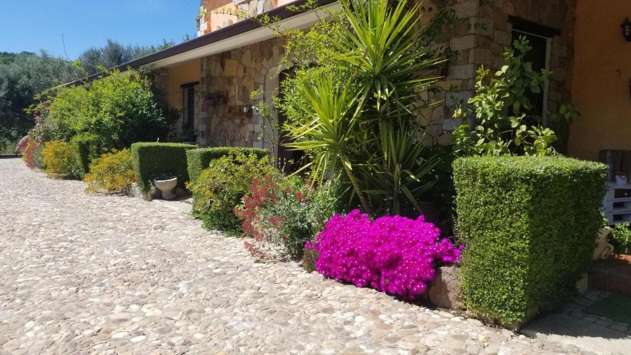 Sorgono B&B Casa Vacanza Centro Sardegna מראה חיצוני תמונה