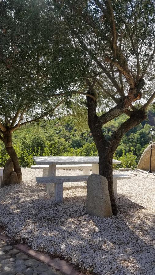 Sorgono B&B Casa Vacanza Centro Sardegna מראה חיצוני תמונה