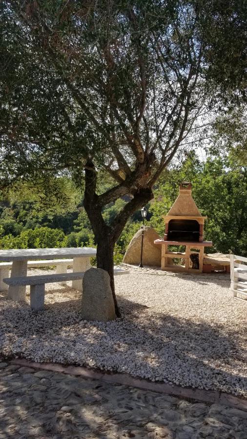 Sorgono B&B Casa Vacanza Centro Sardegna מראה חיצוני תמונה